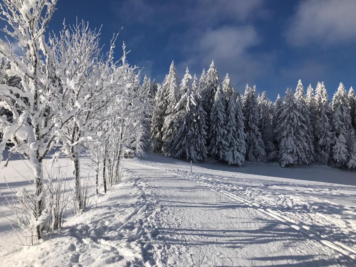 Hoehengasthaus Kolmenhof An Der Donauquelle Furtwangen Dış mekan fotoğraf