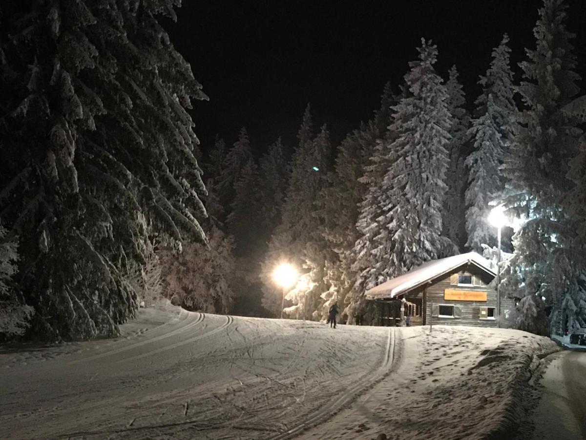 Hoehengasthaus Kolmenhof An Der Donauquelle Furtwangen Dış mekan fotoğraf