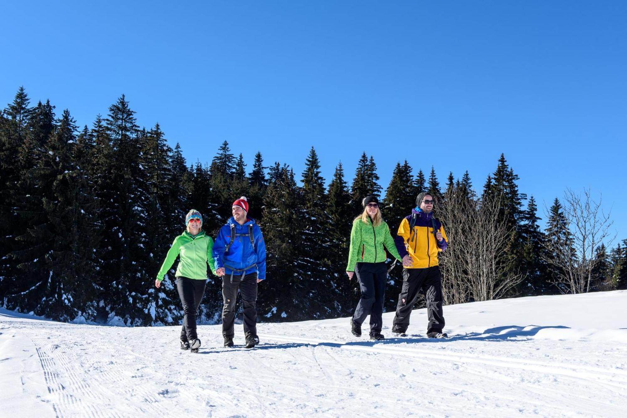 Hoehengasthaus Kolmenhof An Der Donauquelle Furtwangen Dış mekan fotoğraf