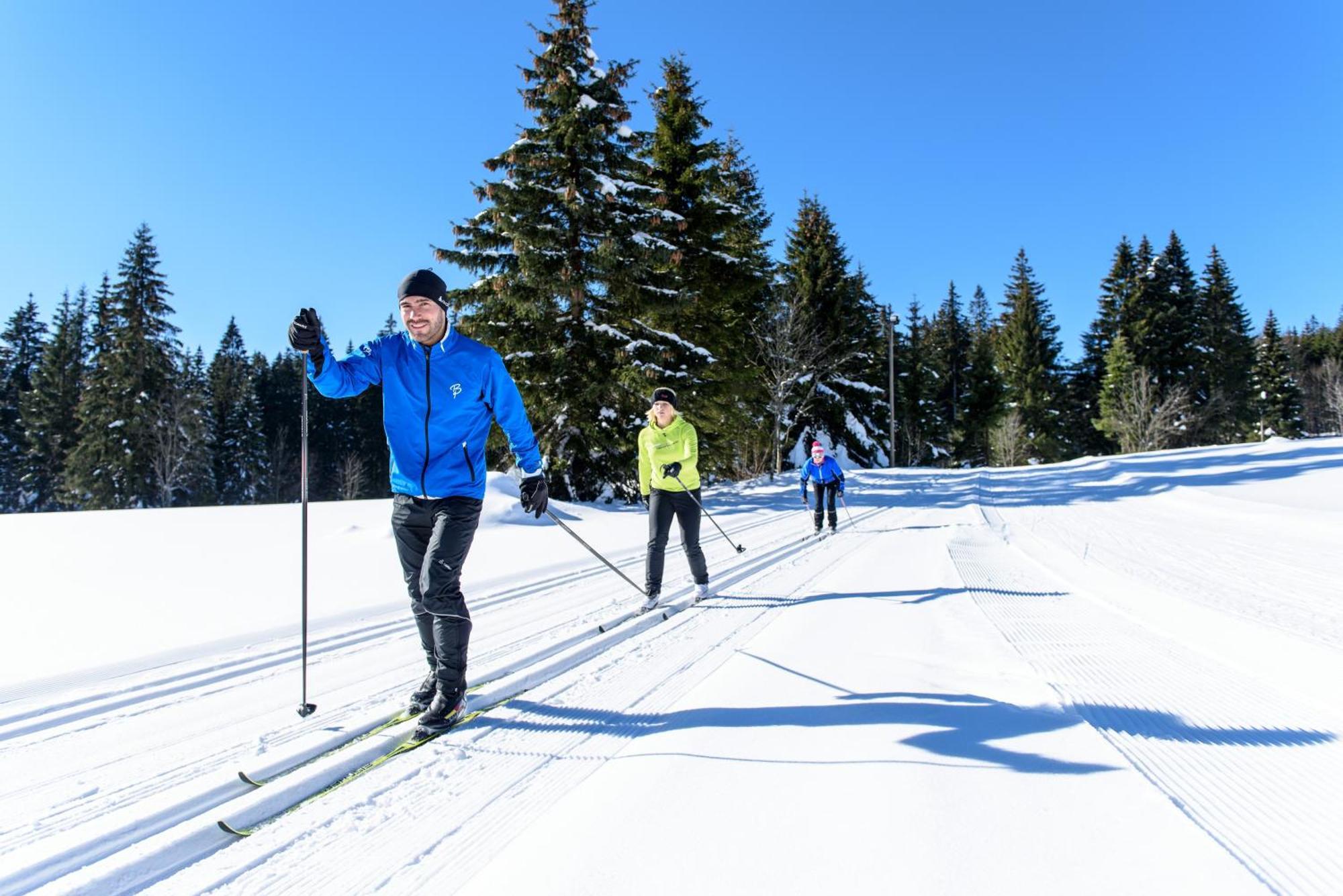 Hoehengasthaus Kolmenhof An Der Donauquelle Furtwangen Dış mekan fotoğraf