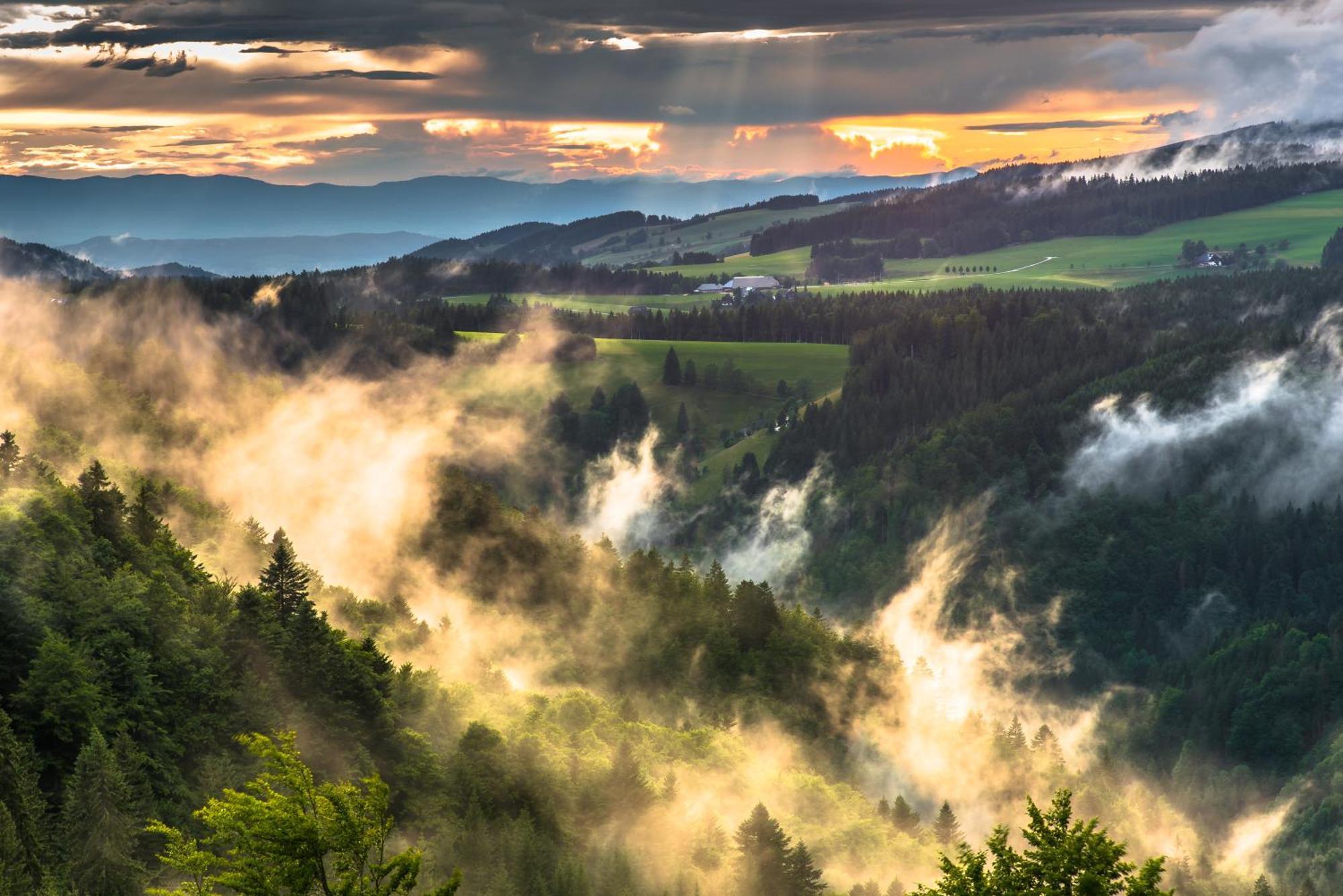 Hoehengasthaus Kolmenhof An Der Donauquelle Furtwangen Dış mekan fotoğraf