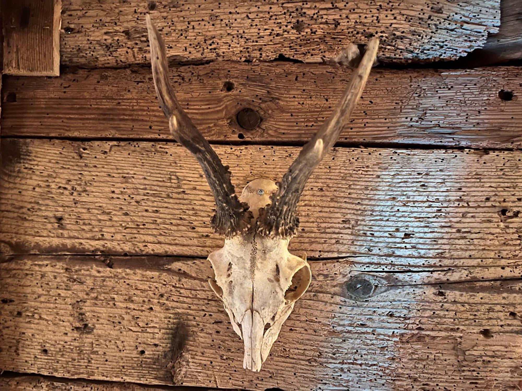 Hoehengasthaus Kolmenhof An Der Donauquelle Furtwangen Dış mekan fotoğraf