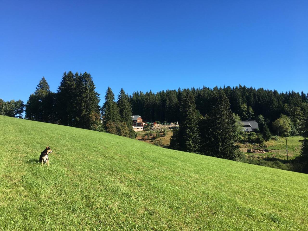 Hoehengasthaus Kolmenhof An Der Donauquelle Furtwangen Dış mekan fotoğraf